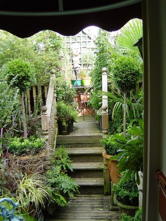 A garden flower photo