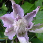 DSC00019.jpg