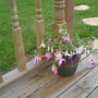 DSC00004.jpg
