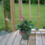 DSC00005.jpg