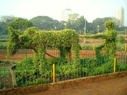 Topiary in Hanging Grardens