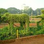 Topiary in Hanging Grardens