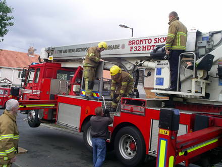 kitten back down to earth well done firemen