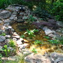6-10-08_001