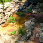Starting to work on the waterfall, and leveling and refilling the top pond with lake water, so now the water is dingy again.