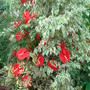 Dsc00490