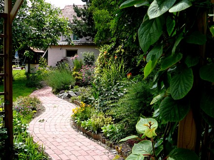 Looking Back up the back garden path.