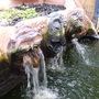 my pond water feacture i made.