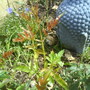 Dsc00997