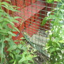 Dsc00999