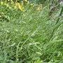 Dsc01013