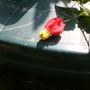 Dscf0551