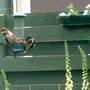 16th_june_005