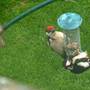 16th_june_008