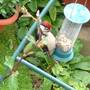 16th_june_012