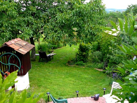 June view of back garden from terrace.