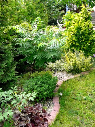 Border with various foliage.