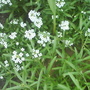 Dsc01020