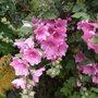 Dscf1756
