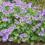 Dscf1754