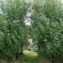 Dscf1761