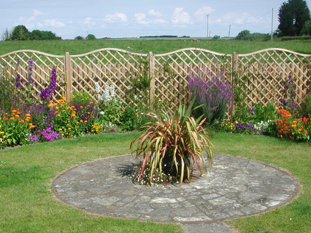 View of the back garden June 08