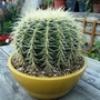17_june_003