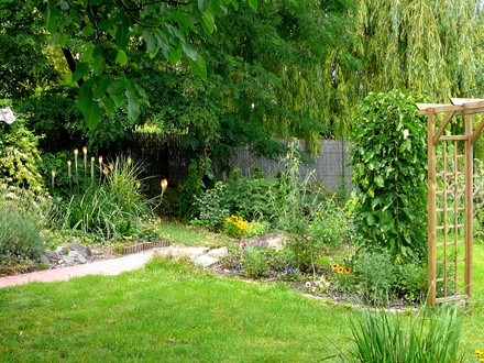 Another back garden view in June.