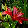 P1020382