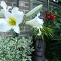 17_june_002