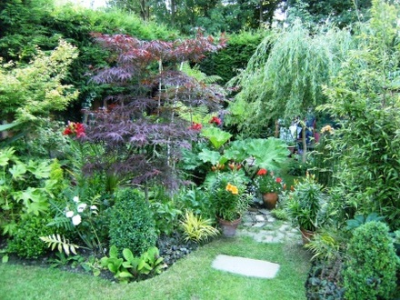 Towards the greenhouse.