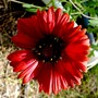 P1020391