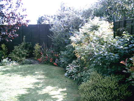 My garden