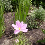 Pict0290