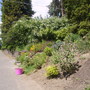Pict0323