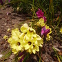 Pict0293