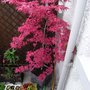 Rimg0029