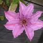 Dscf1178