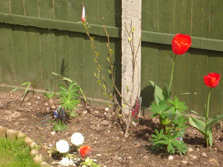 DSC01020.jpg