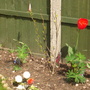 Dsc01020