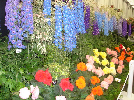 DSC01036.jpg