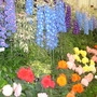 Dsc01036
