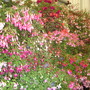 Dsc01037