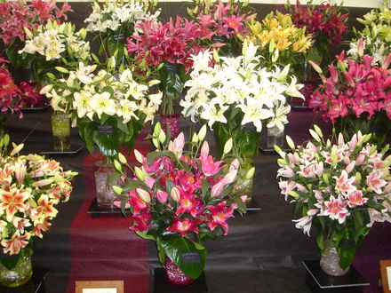 DSC01039.jpg