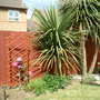 Dscf0001