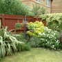 A garden flower photo