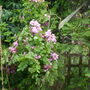 Brens_photos_546