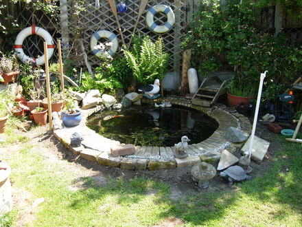 Our_Garden_May_11th_08_017.jpg (Lily)