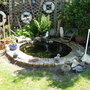 Our_Garden_May_11th_08_017.jpg (Lily)