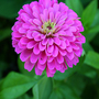 June1508_003